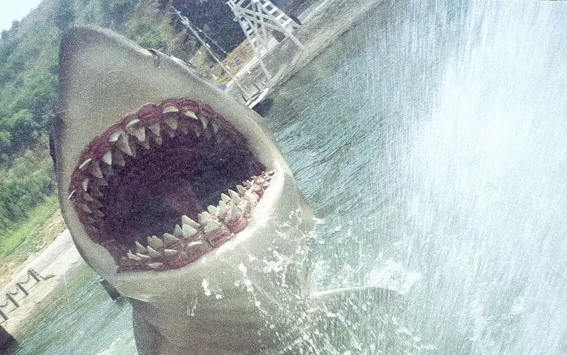 Image: The great white shark from Steven Spielberg's Jaws attacks guests of the Universal Studios Hollywood tram tour.
