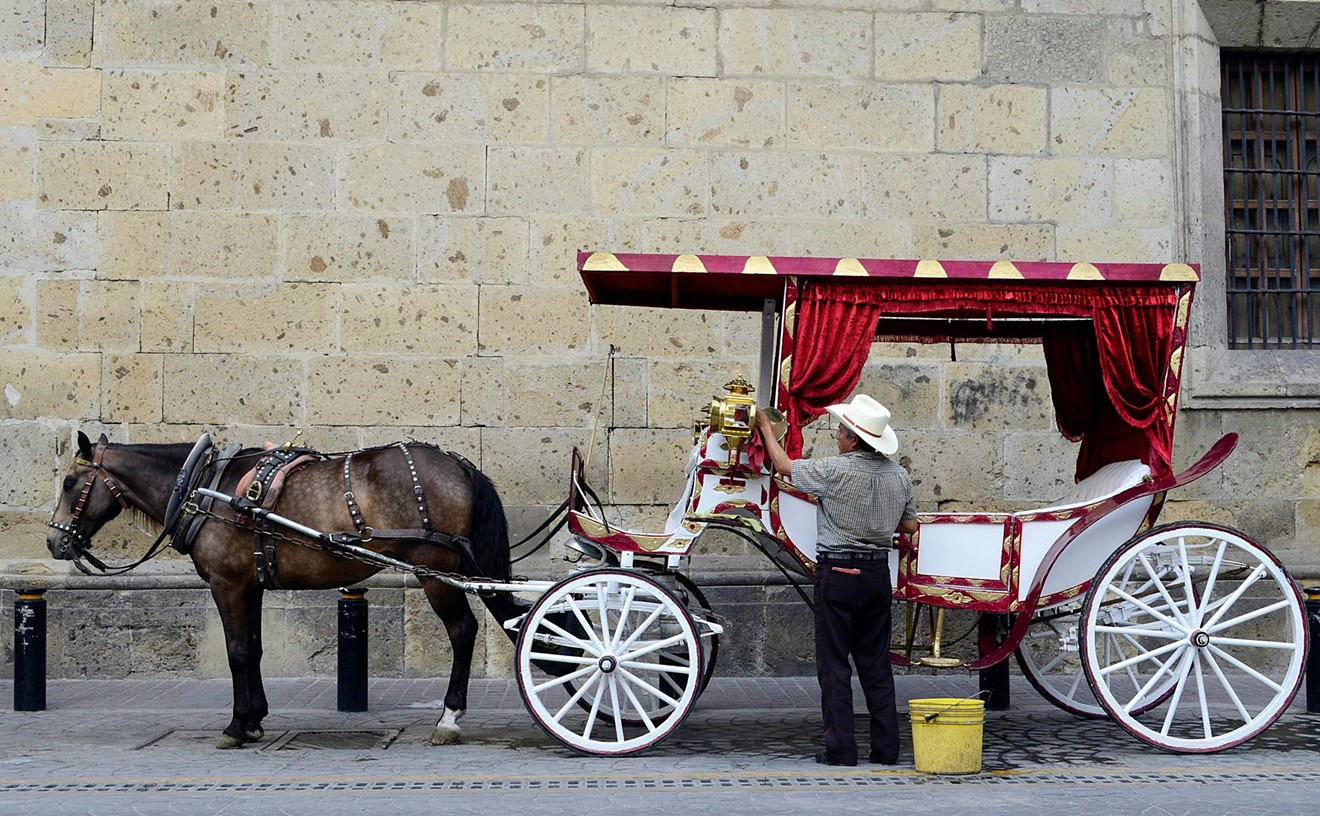 Activists Want a Horse-Drawn Carriage Ban in Big D, but Operators Say 'Neigh'