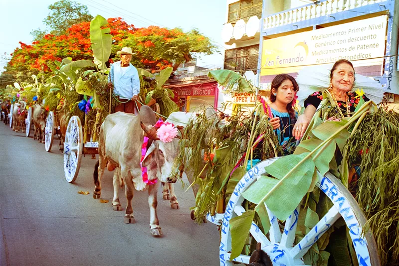 Image: Laura Wilson, Parade of Oxen, Grandmother with Granddaughter, La Feria de las Velas, Juchitán, Oaxaca (Desfile de bueyes, abuela con su nieta, La Feria de las Velas, Juchitán, Oaxaca), 2011. Archival pigment print.