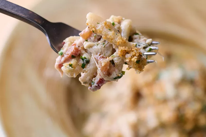Image: a past dish, coniglio alla gricia, from Radici