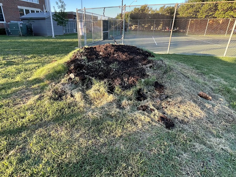 Frustrated by the city's failure to remove a mound of mulch, local attorney Bobby Abtahi posted this photo and others on social media.