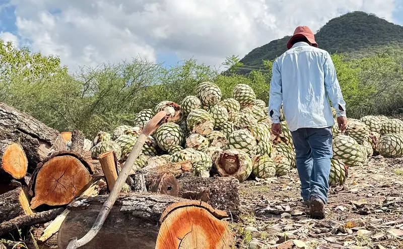 Image: Dallas' José Teams Up With Koch Mezcal To Produce a Stellar Spirit