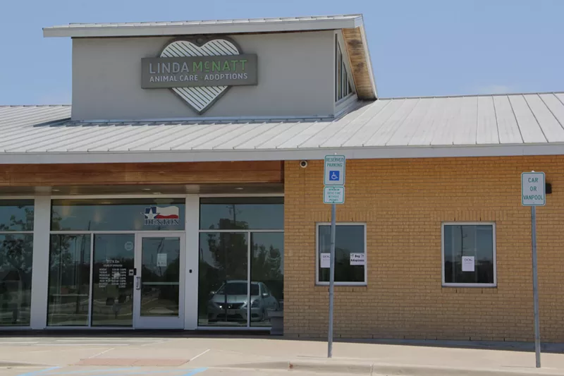 Image: Denton animal shelter stopped adopting out or taking in cats during a clear the shelter event due to a contagious feline virus.