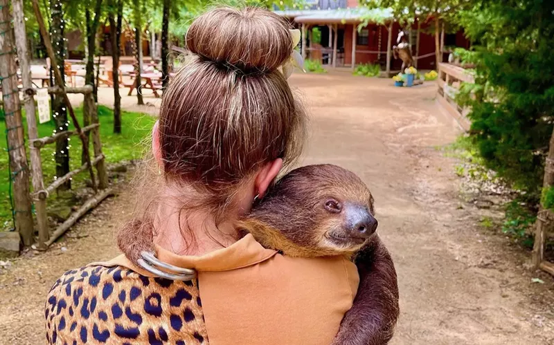 Image: Need a hug?