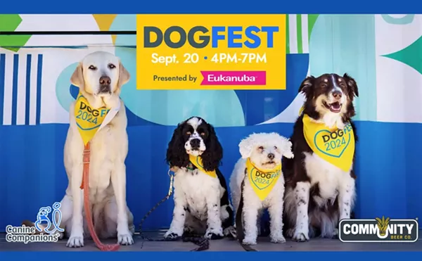 Image: DogFest DFW 2025