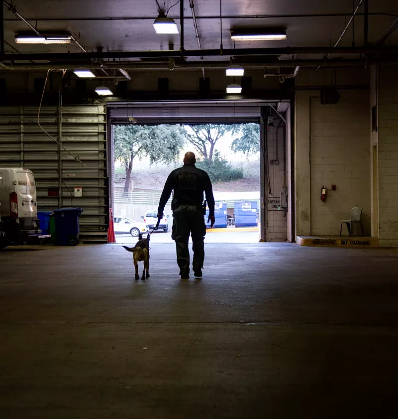 Image: The year after the FBI began tracking animal cruelty cases, the agnency recorded 3,200 instances of alleged animal cruelty, one for every 33,000 people, according to American Veterinary Association.