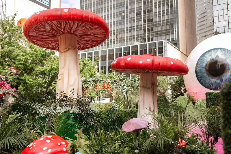 Image: The art at the Dallas Art Fair next week includes the whimsy offered by EYEboretum.