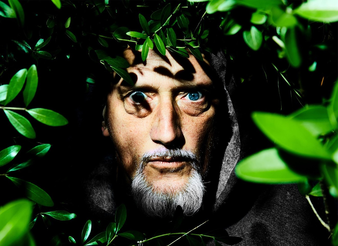 Musician Paul Slavens emerges from the forest on the cover for his single "X On My Heart."