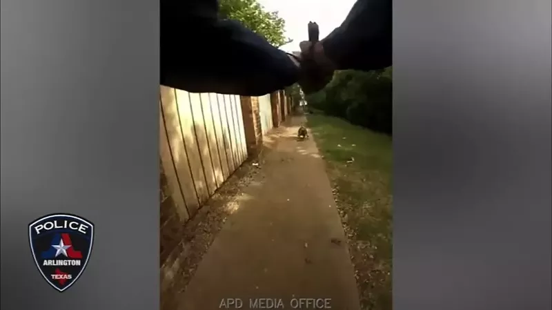 Image: Body camera footage showed Arlington Police officer Ravinder Singh killing Margarita "Maggie" Brooks during a welfare check. Police union attorneys representing Singh have cited a legal doctrine commonly used in police violence cases to relieve officers of liability.