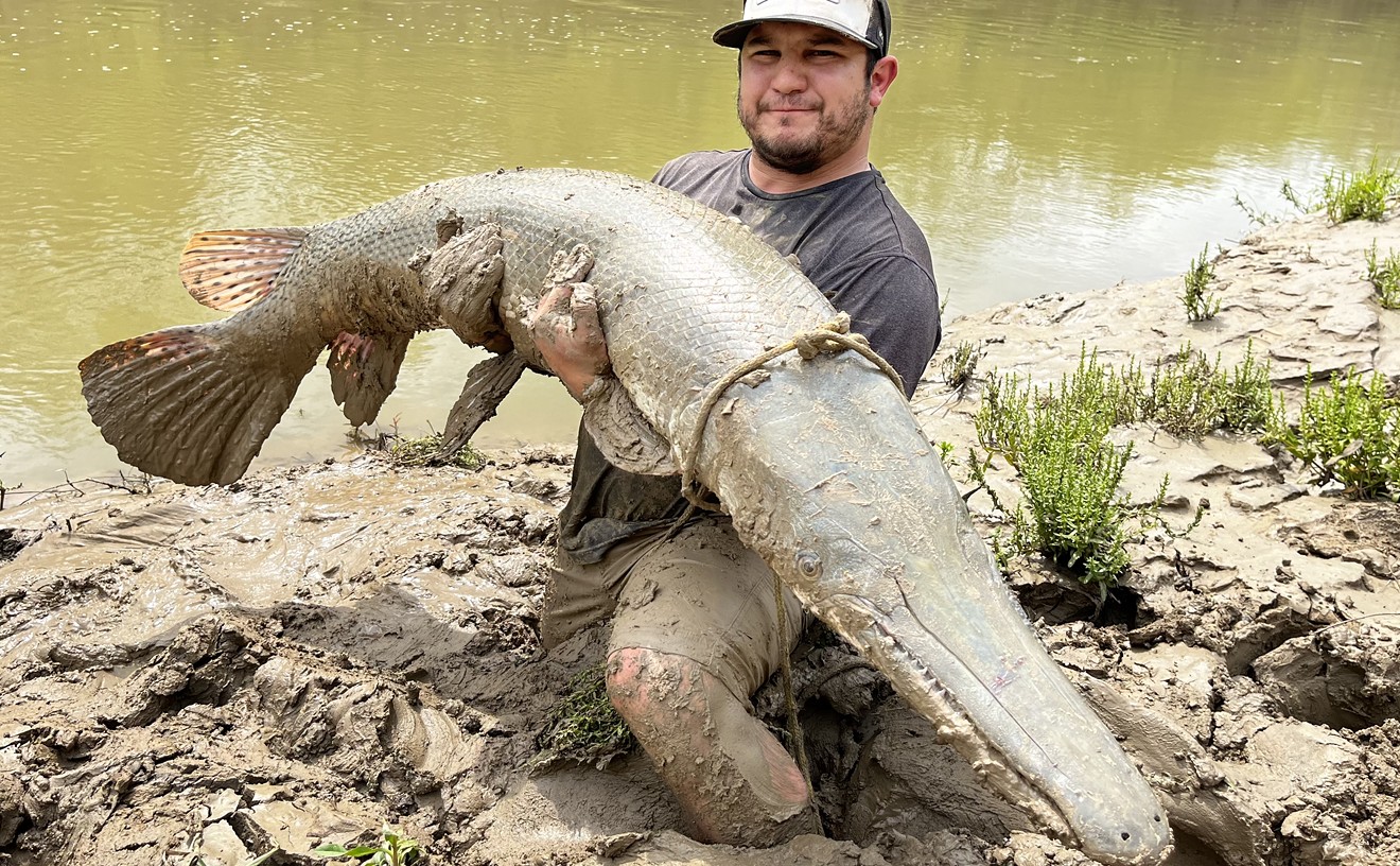 Texans, It Could Be Your Chance to Catch Giant Alligator Gar in the Trinity River