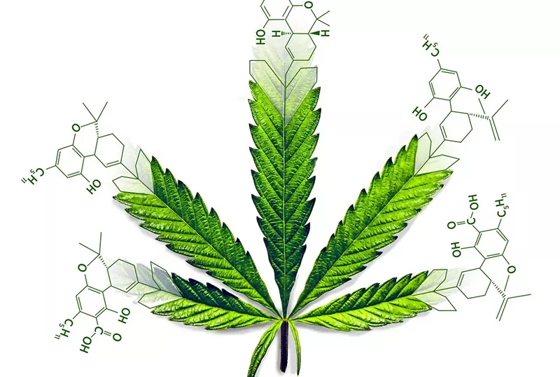 Image: Sen. Charles Perry, a Republican from Lubbock, also tried to ban hemp-derived THC isomers during the last legislative session.