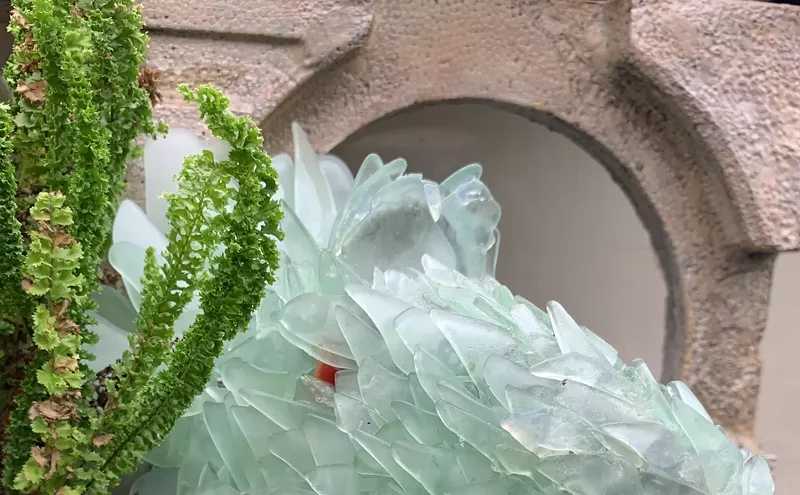 Image: The Carnivorous Plant Gallery in Richardson Is Going Sci-Fi