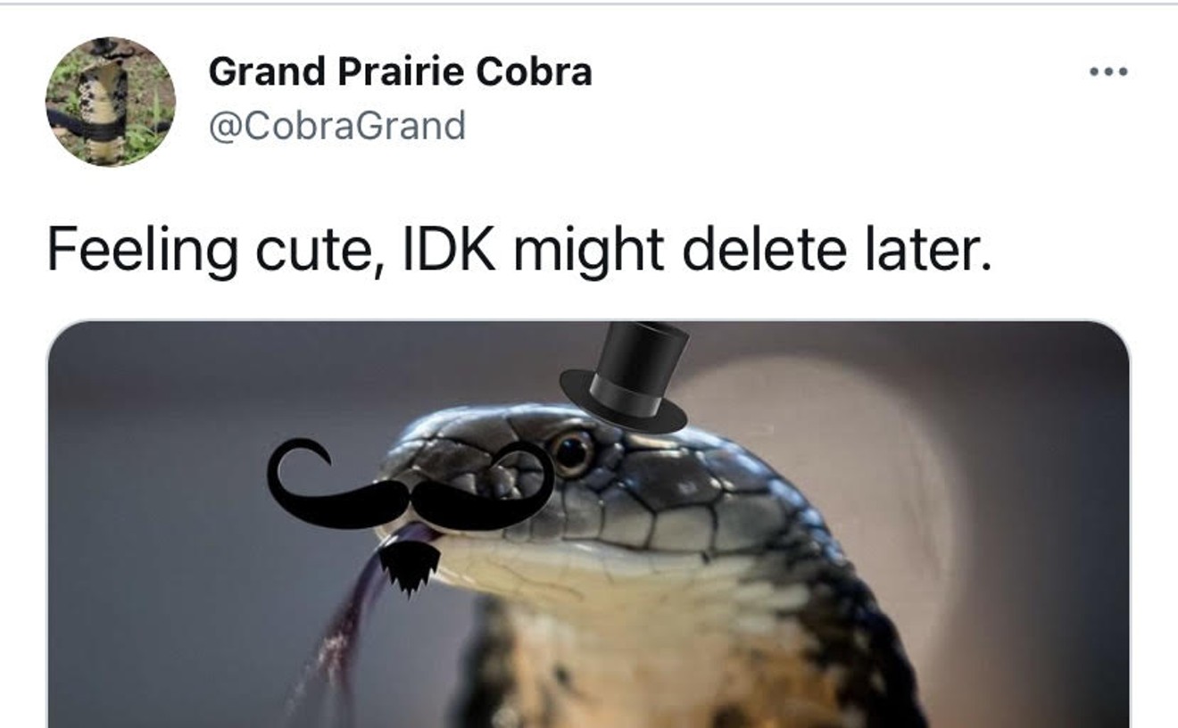 The Cobra That Escaped in Grand Prairie Is Taking Twitter by Storm