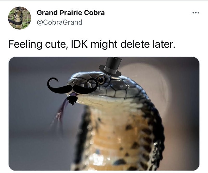 The notorious Grand Prairie Cobra has a lot to tweet about.