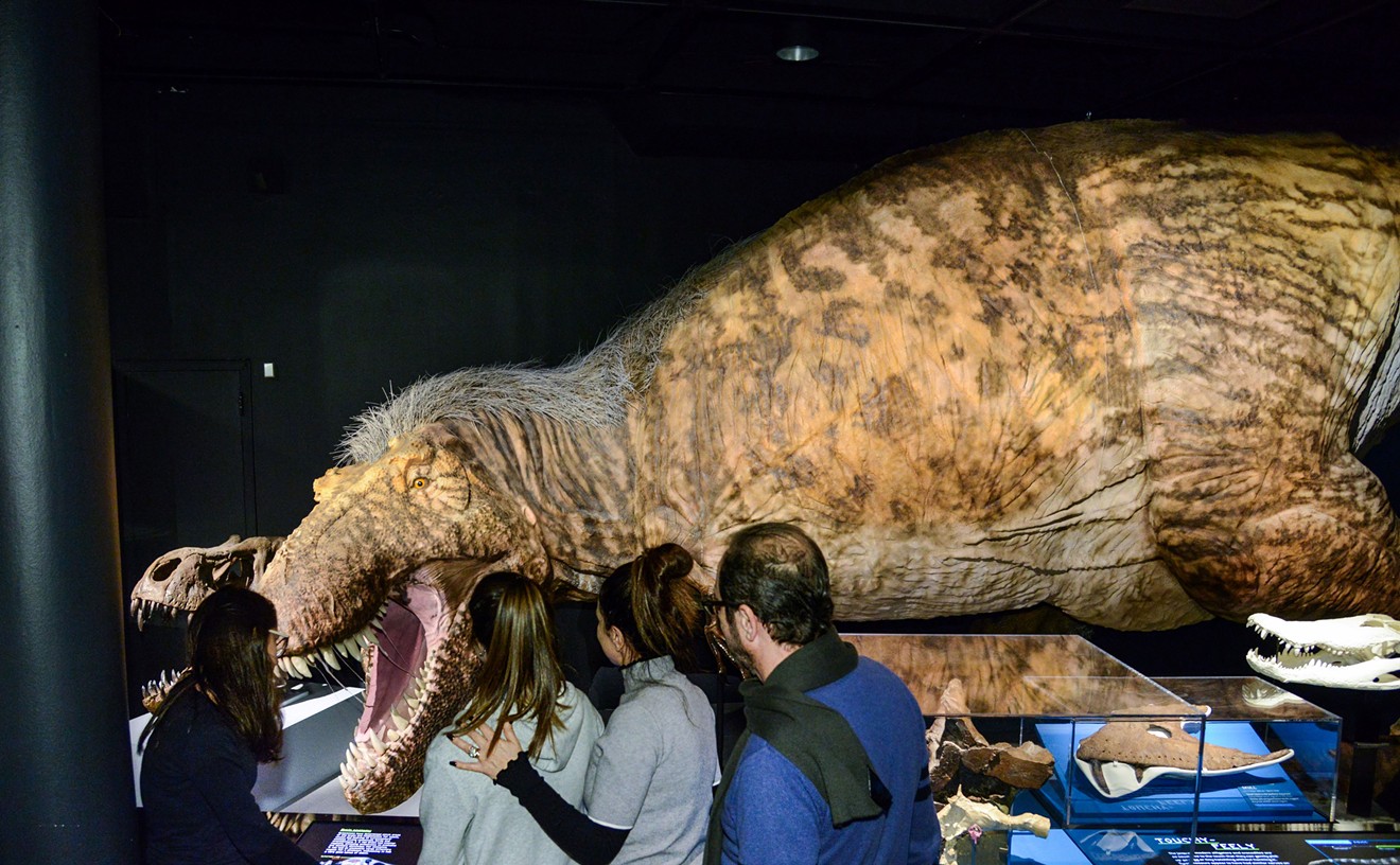 The Perot’s T. Rex Exhibition Is Stranger Than Fiction