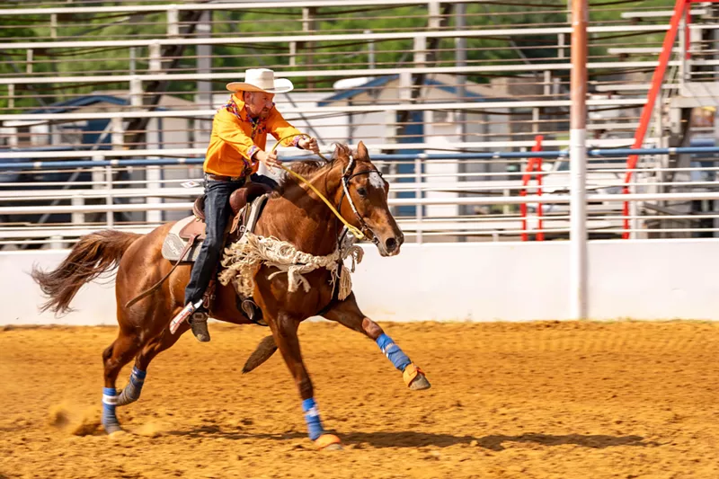 Image: A contestant races toward the barrels in the barrel race competition at the 41st Texas Tradition Rodeo.