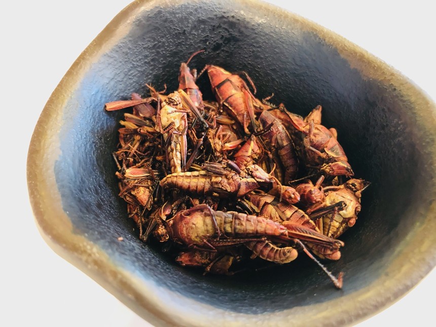 Some call chapulines the protein of the future. - LAUREN DREWES DANIELS