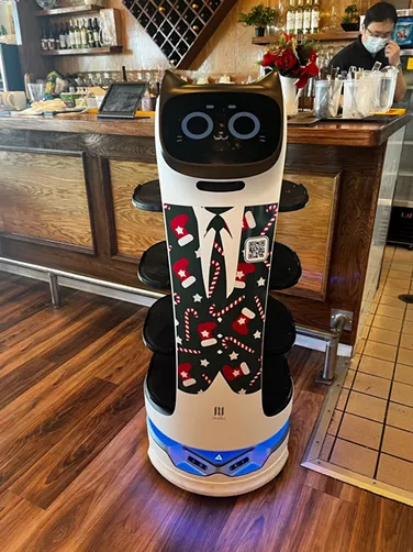 BellaBot at Tian Tian has a cat-like face and apparently loves to dress for the holidays. - MARIA LAWSON