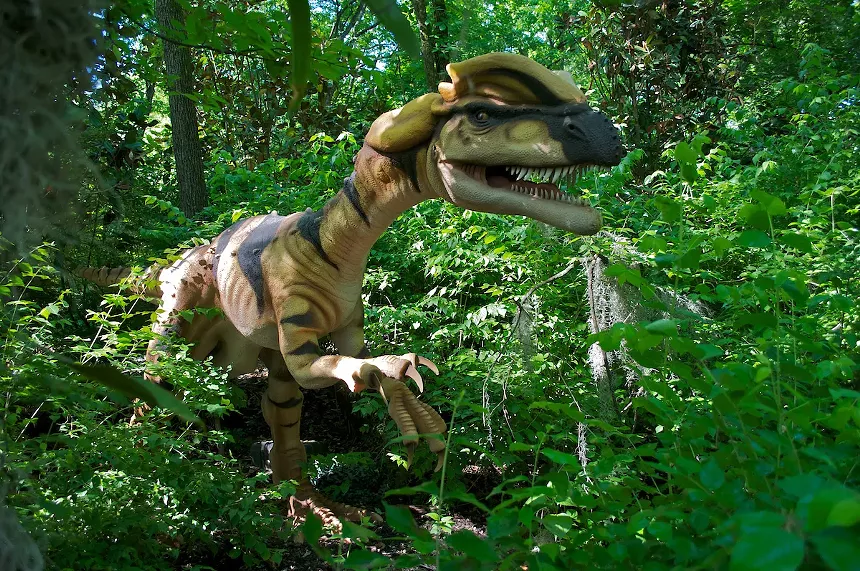Dino Safari, presented by Reliant, includes the dilophosaurus and several other dinosaurs - DALLAS ZOO