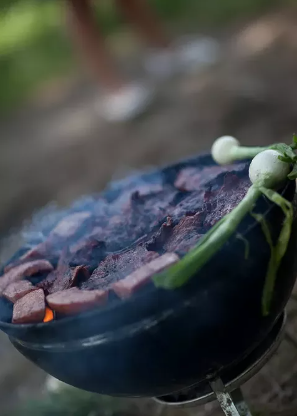Picture of a grill