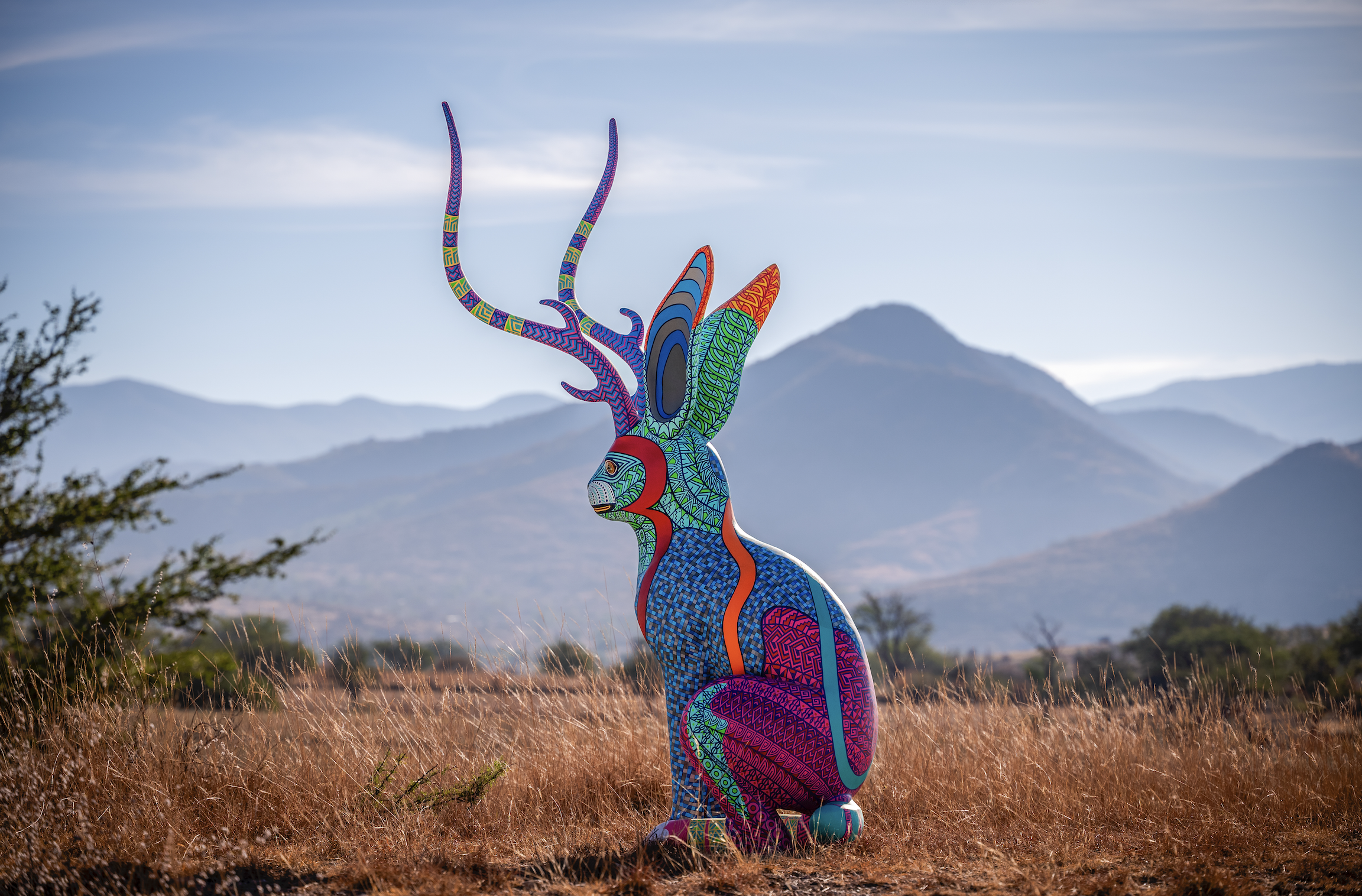 Meme del Real, tecladista y vocalista de la legendaria banda Café Tacvba,  recuerda el impacto que generó su álbum 'Re' más de treinta años atrás. Vea  la entrevista completa en nuestro canal de ..., image size:2304x1516