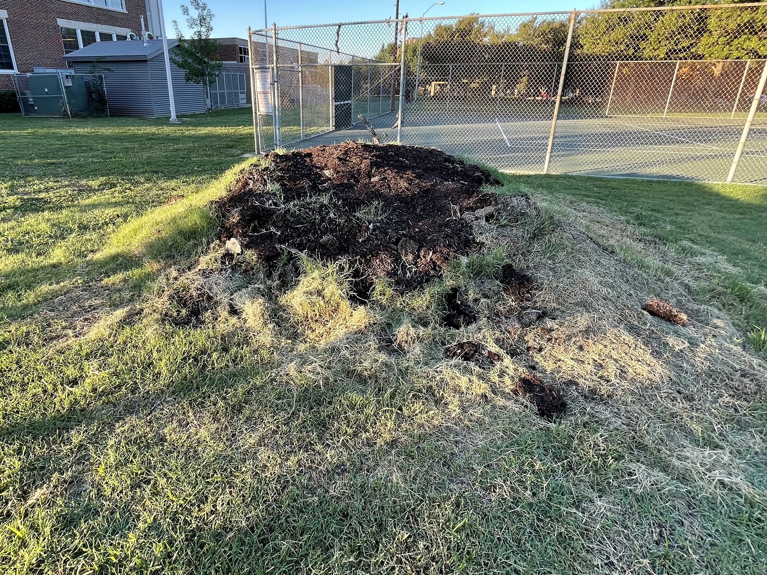 Dallas Removes Mulch Pile at Cochran Park After Residents' Months-Long Push for Action