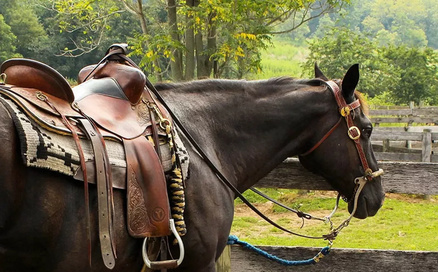 Cal Farley's Boys Ranch: What We Do and Who We Serve - Vimarsana News