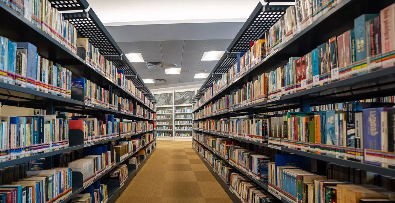 Image: 'Utterly Disastrous' New Law Is Emptying School Library Shelves