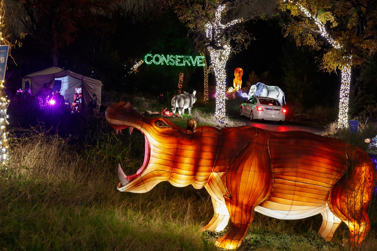 See lights and 3D video experiences this holiday season at Dallas Zoo Lights.
